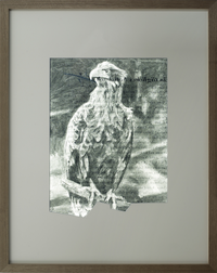 Archiv 157-1 Adler Nr. 3, Kohle auf Papier beidseitig im Leuchtkasten, 120x95 cm, 2012